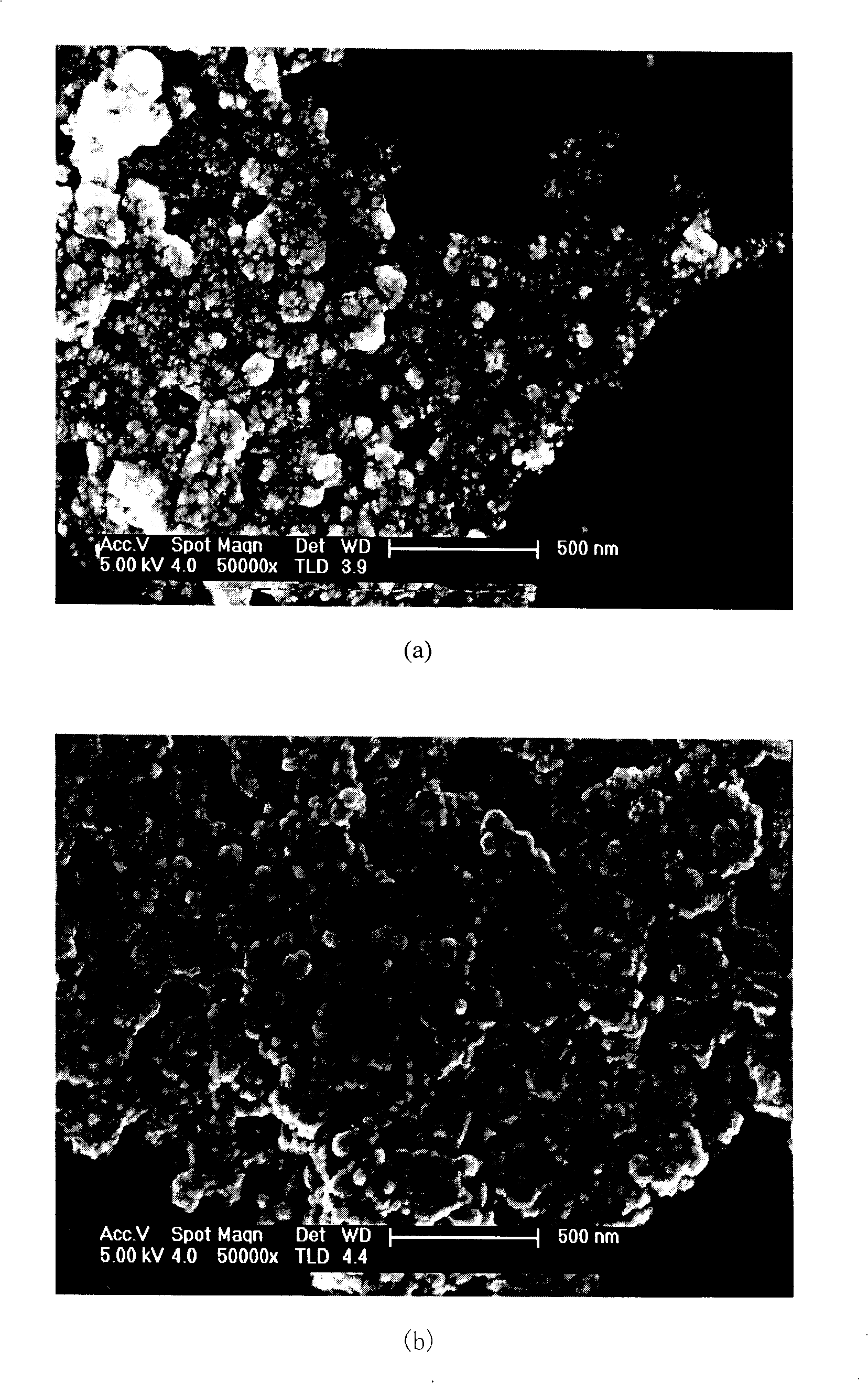 Nano sensor for detecting phenolic substance and its detecting method