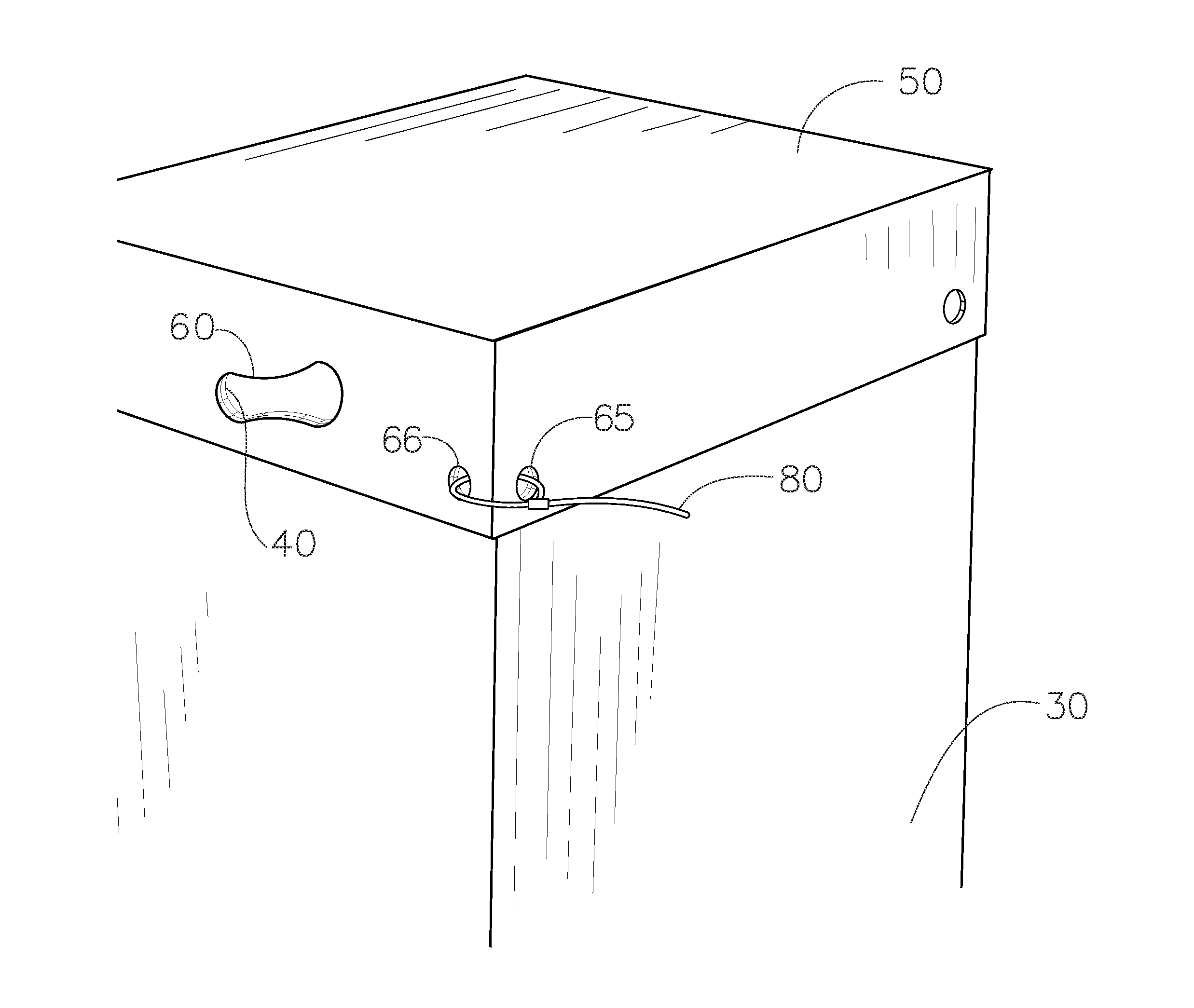 Shipping container with grips and locking ports