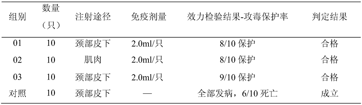 Novel goose-star virus strain and application thereof