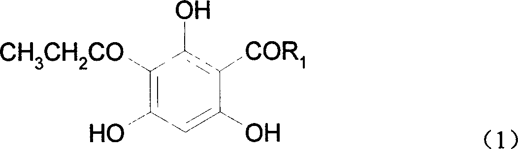 Phloroglucinol propionyl derivative and its synthesis method and uses