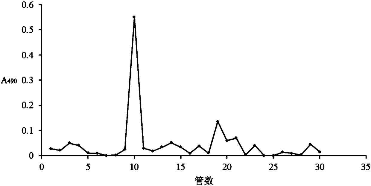 Cordyceps militaris culture medium polysaccharide, and separation and purification method and application thereof