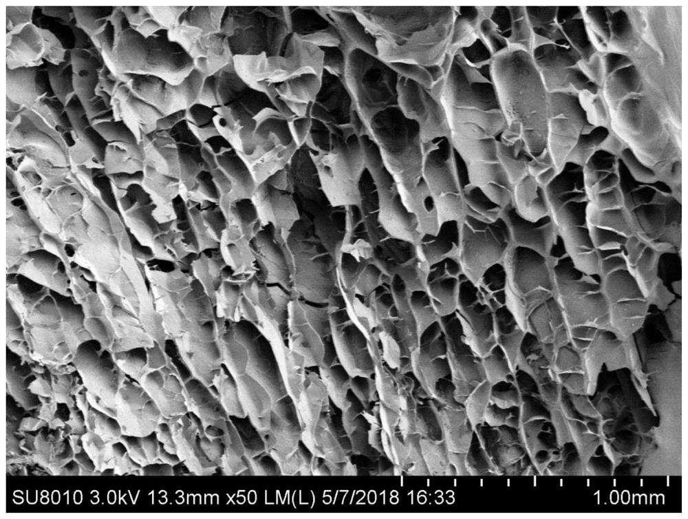 A kind of freeze-dried type instant tofu and preparation method thereof