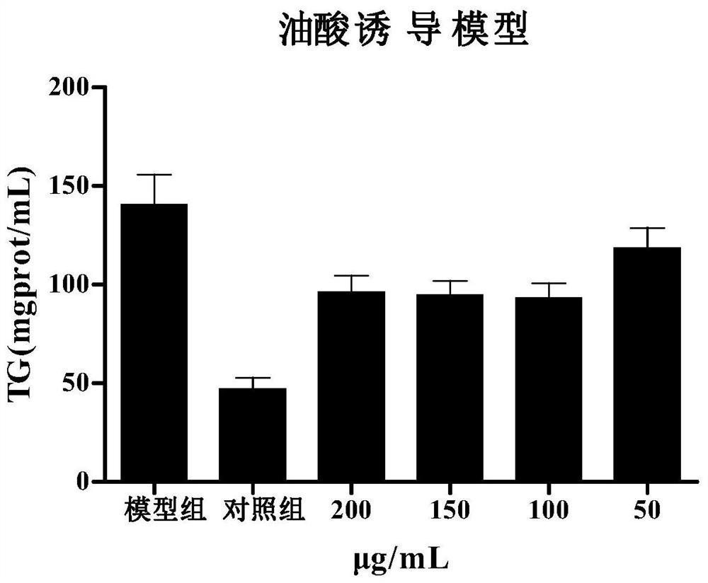 Application of stone money turtle polypeptide mixture, health care product for fatty liver prevention or medicine for fatty liver prevention
