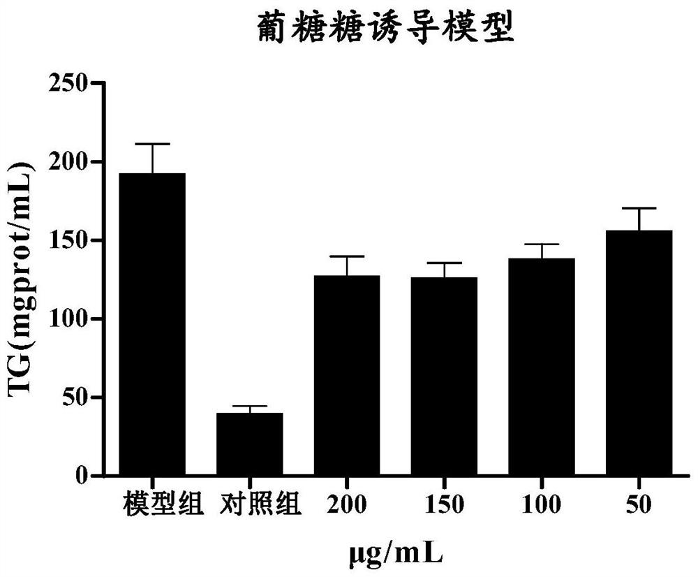 Application of stone money turtle polypeptide mixture, health care product for fatty liver prevention or medicine for fatty liver prevention
