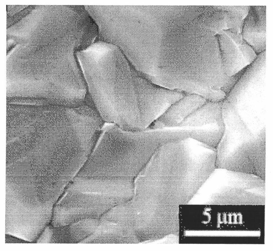 Method for growing upright three-dimensional netlike noble metal nano-plate on boron-doped diamond substrate