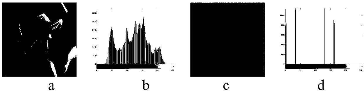 Image encryption parasitic protection method based on lifting wavelet transform