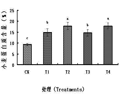 Special functional melt granulated humic acid fertilizer and production method thereof