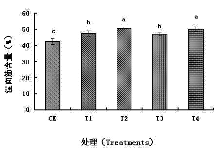 Special functional melt granulated humic acid fertilizer and production method thereof