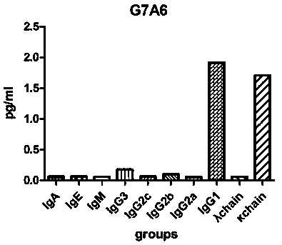 Anti-Ebola virus vp40 protein monoclonal antibody g7a6 and its application