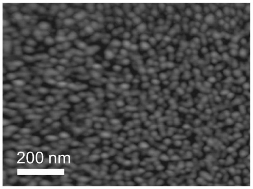 Tin/Protein Nanohybrid Films and Their Applications