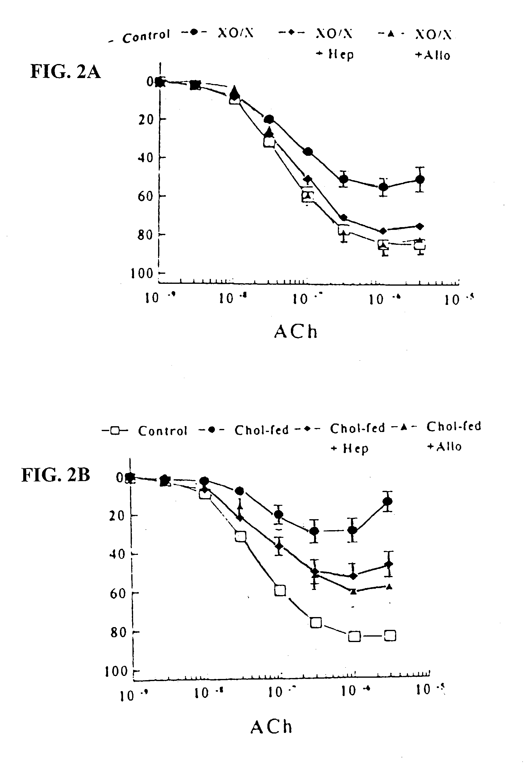 Xanthine oxidase inhibition as a strategy to alleviate oxidative impairment of vascular function