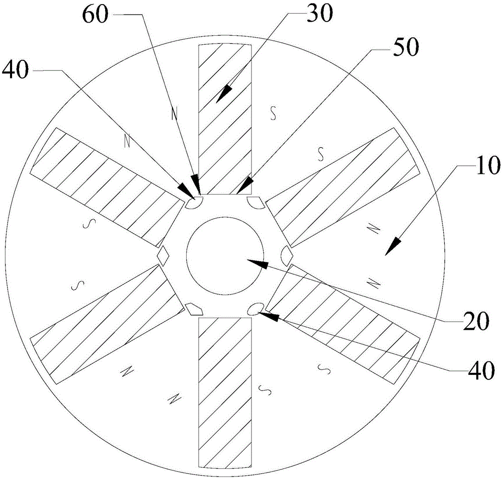 Permanent magnet rotor and permanent magnet motor