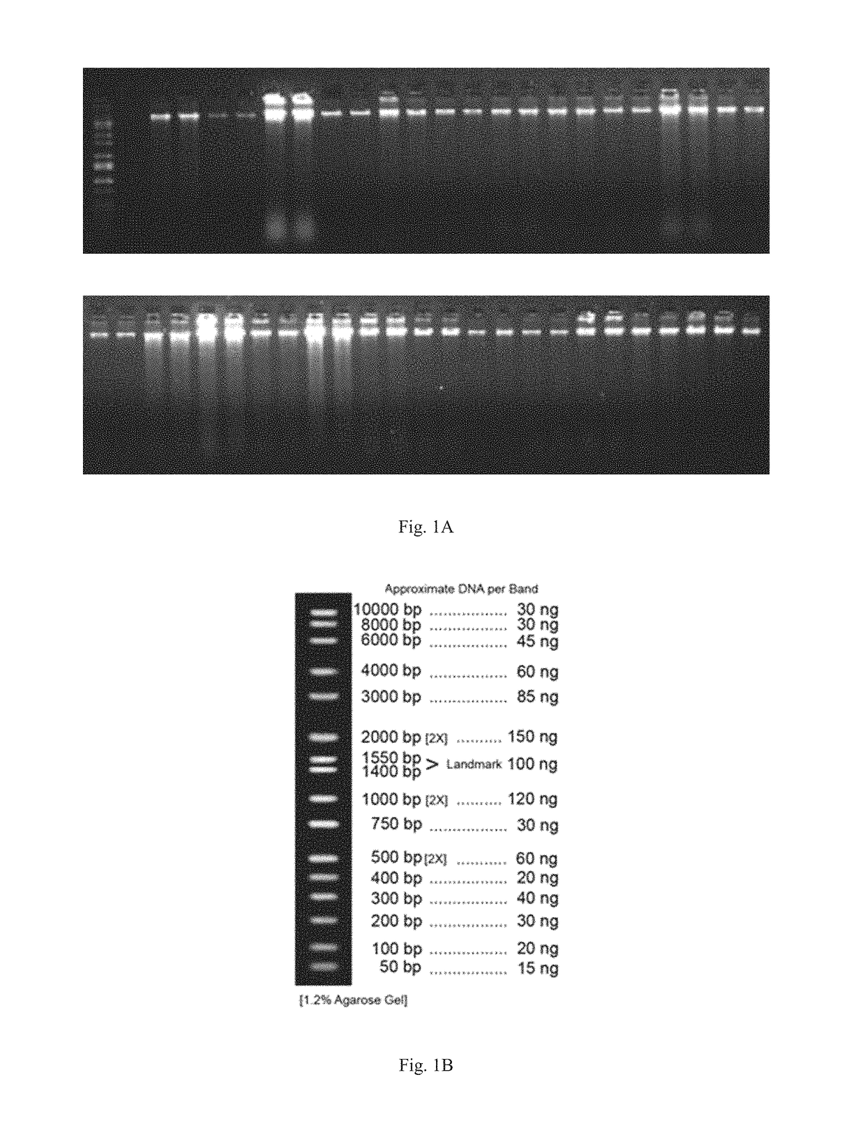 Nucleic acid preservation solution and methods of manufacture and use