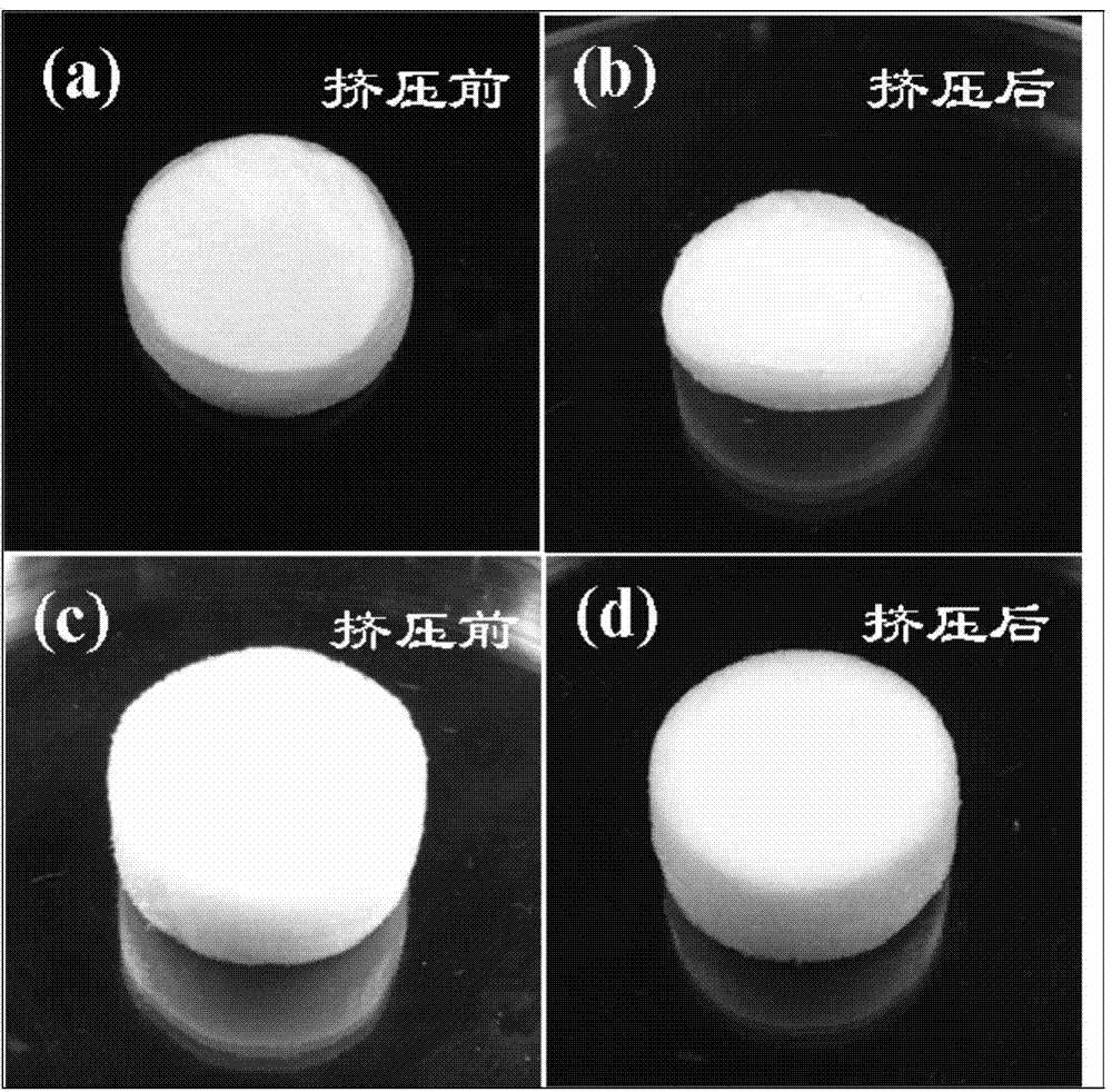 Preparation method of elastic porous chitosan sponge