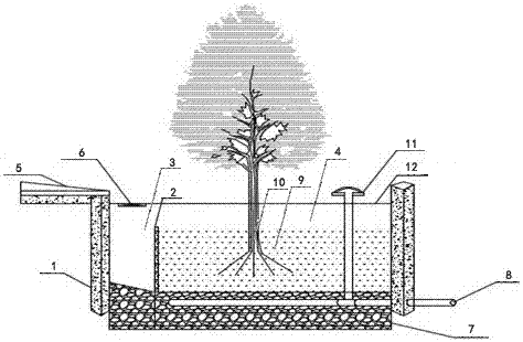 Tree box filter and application method thereof