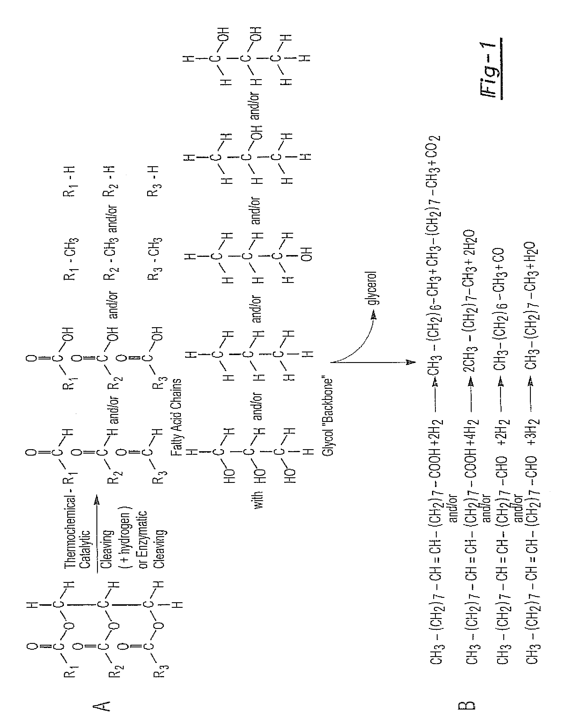 Optimal energy pathway to renewable domestic and other fuels