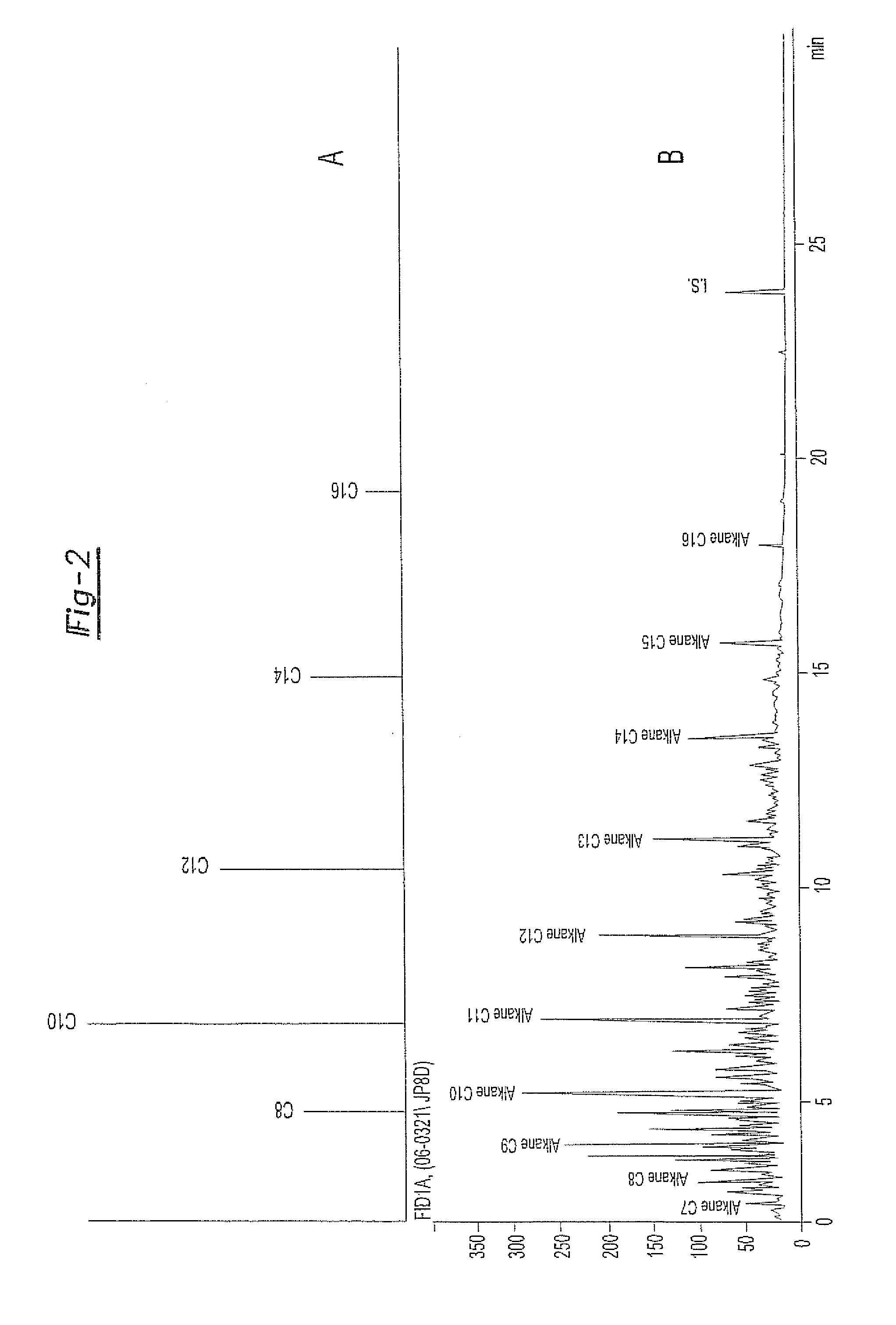 Optimal energy pathway to renewable domestic and other fuels