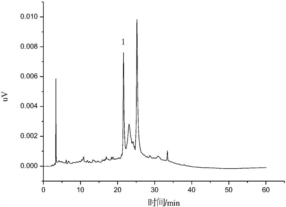 Method for separating flavone compound from hericium erinaceus by applying high-speed countercurrent chromatography