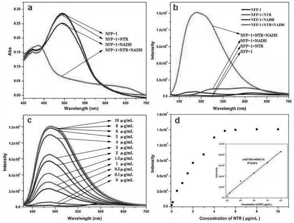 NTR-1 response type fluorescent probe based on benzoindole as well as preparation method and application thereof