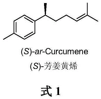 Method for asymmetrically catalyzing and synthesizing (S)-curcumene