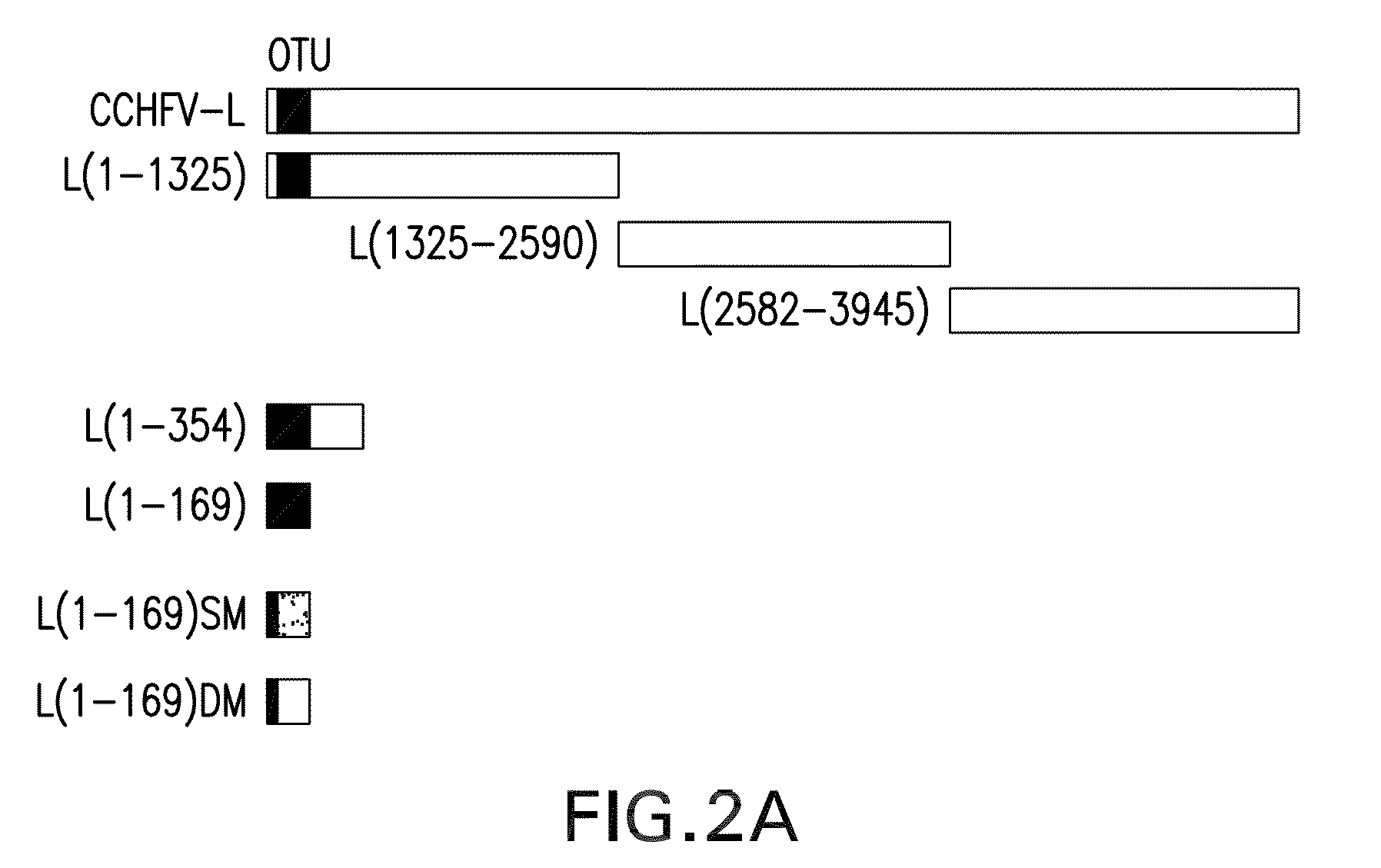 Methods of preventing and treating viral infections by inhibiting the deISGylation activity of OTU domain-containing viral proteins