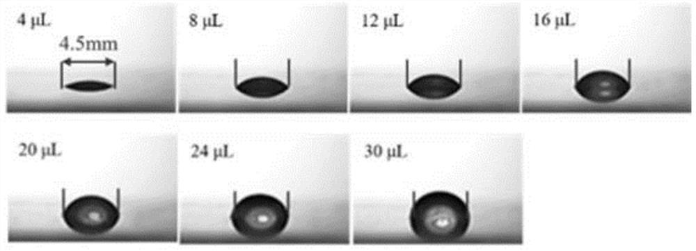 Hydrogel-elastomer complex as well as preparation method and application thereof