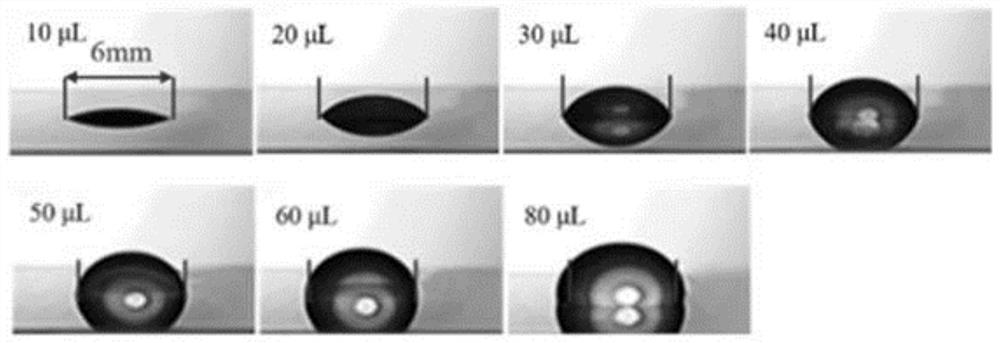 Hydrogel-elastomer complex as well as preparation method and application thereof