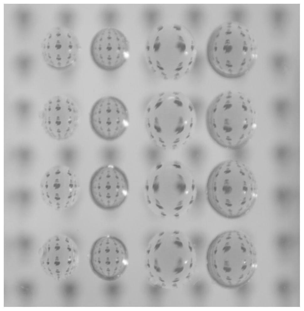 Hydrogel-elastomer complex as well as preparation method and application thereof