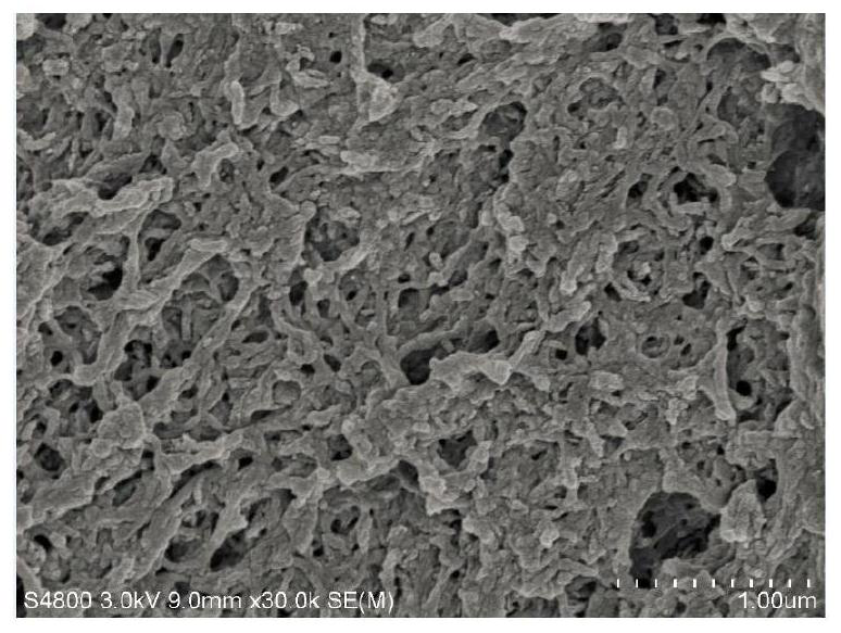 A kind of nano-hydroxyapatite/n-maleoylated chitosan composite material and its preparation method and application