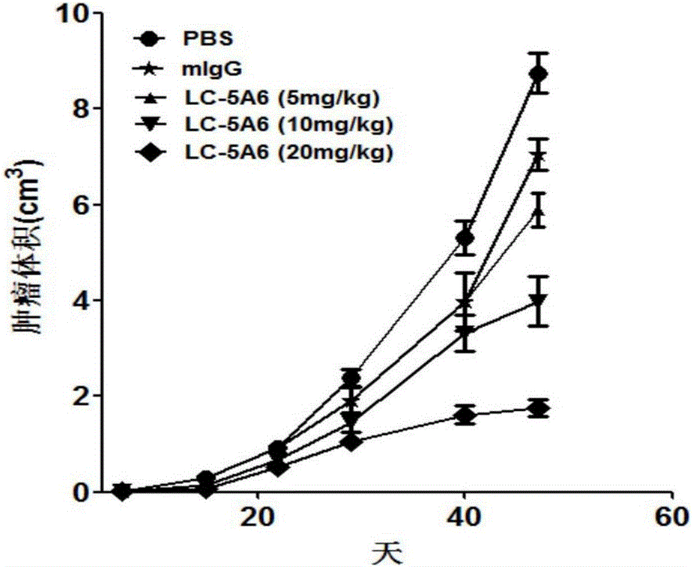 Anti-human-lung-cancer-stem-cell monoclonal antibody