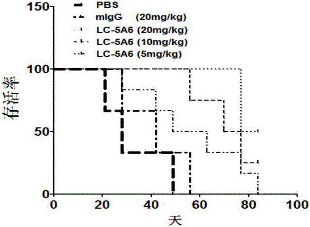 Anti-human-lung-cancer-stem-cell monoclonal antibody