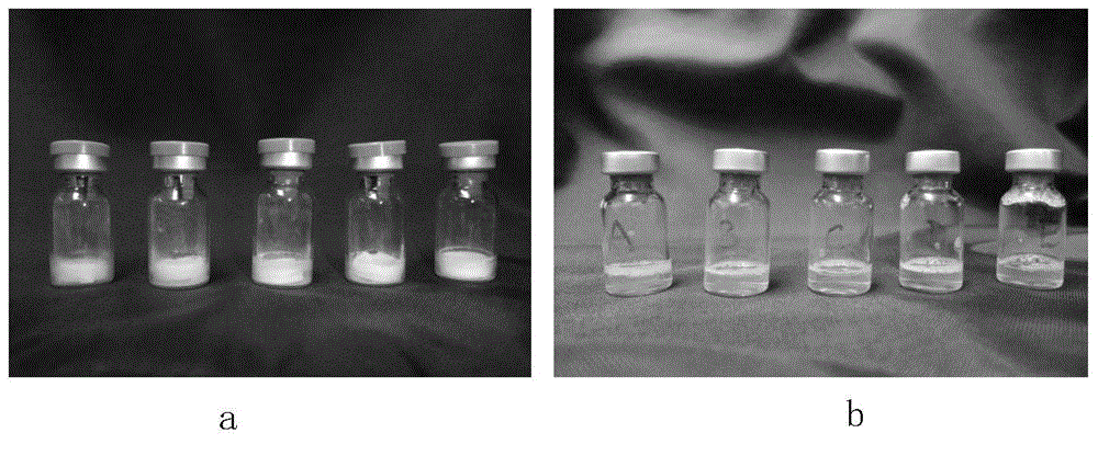 A gelatin-free varicella vaccine freeze-dried preparation and a preparing method thereof