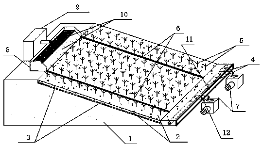 Scouring-resistant permeable ecological protection surface for cohesive soil slopes and construction method thereof