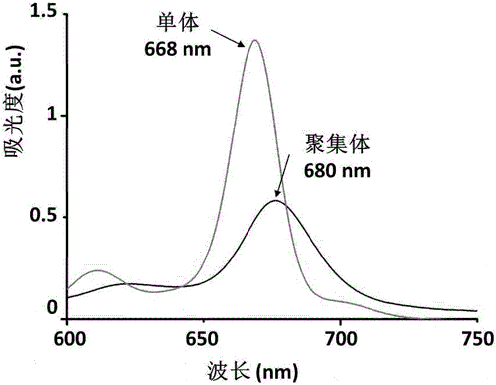 A kind of targeted photoacoustic contrast agent, its preparation method and application