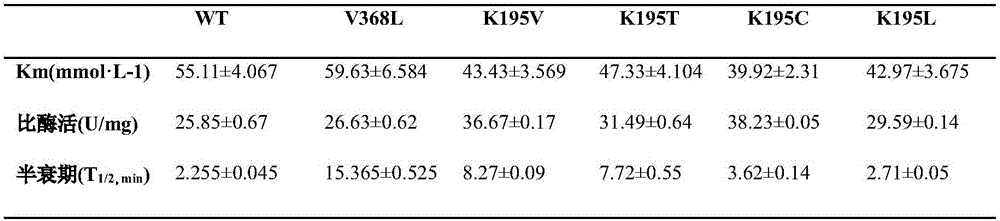 Creatinase mutant with improved heat stability