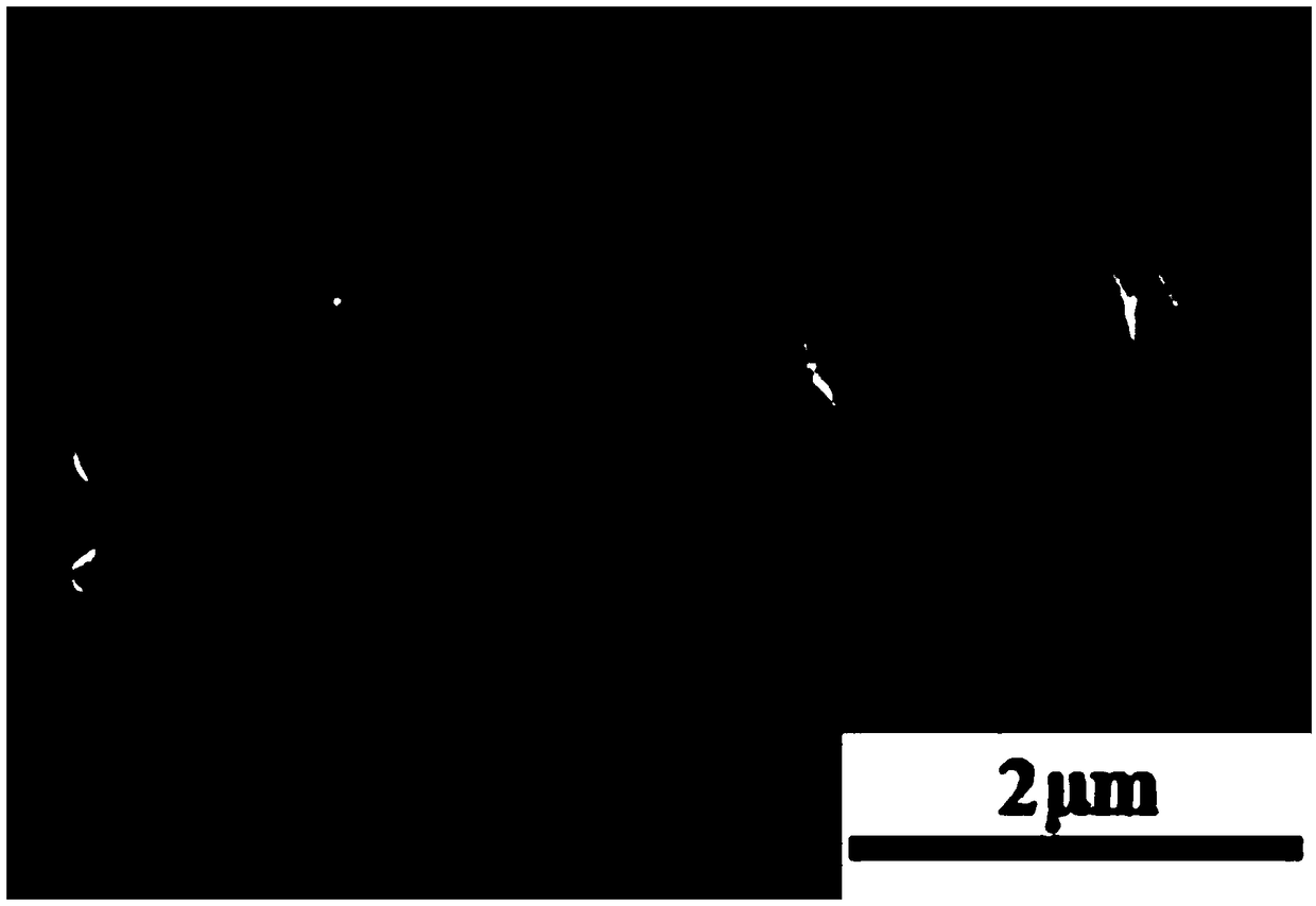 Preparation method of ZnS infrared window antireflective microstructure surface