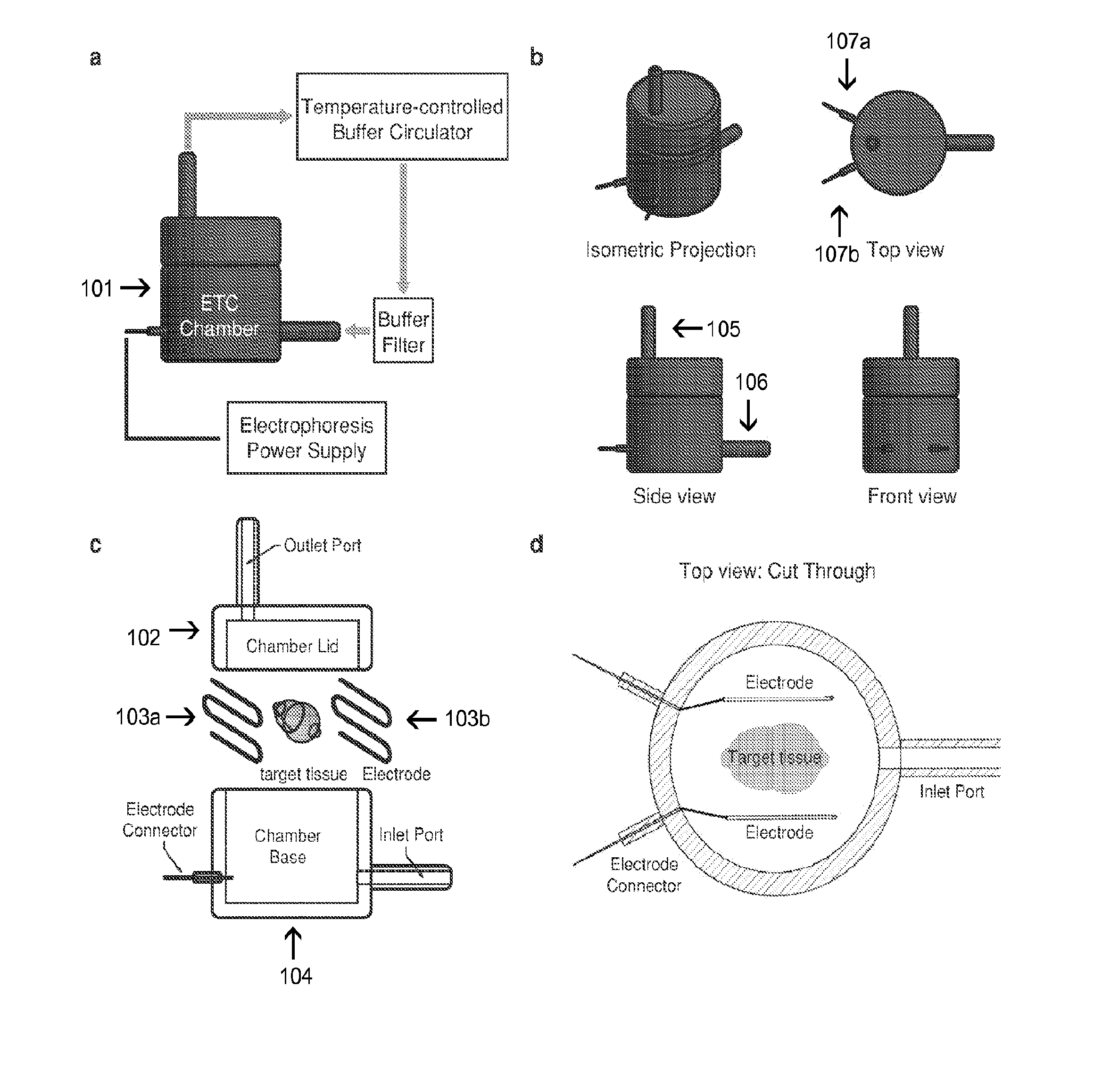 Methods and Compositions for Preparing Biological Specimens for Microscopic Analysis