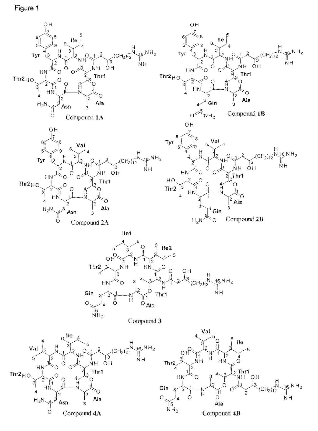 Antifungal paenibacillus strains, fusaricidin-type compounds, and their use
