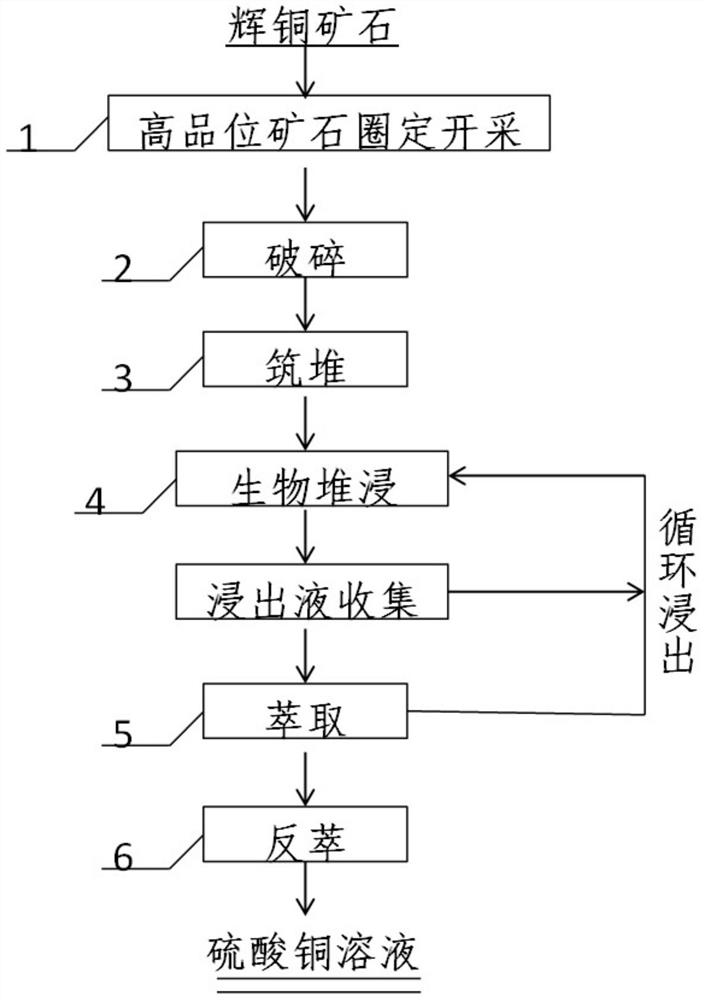 Method for intensively extracting copper in high-grade chalcocite