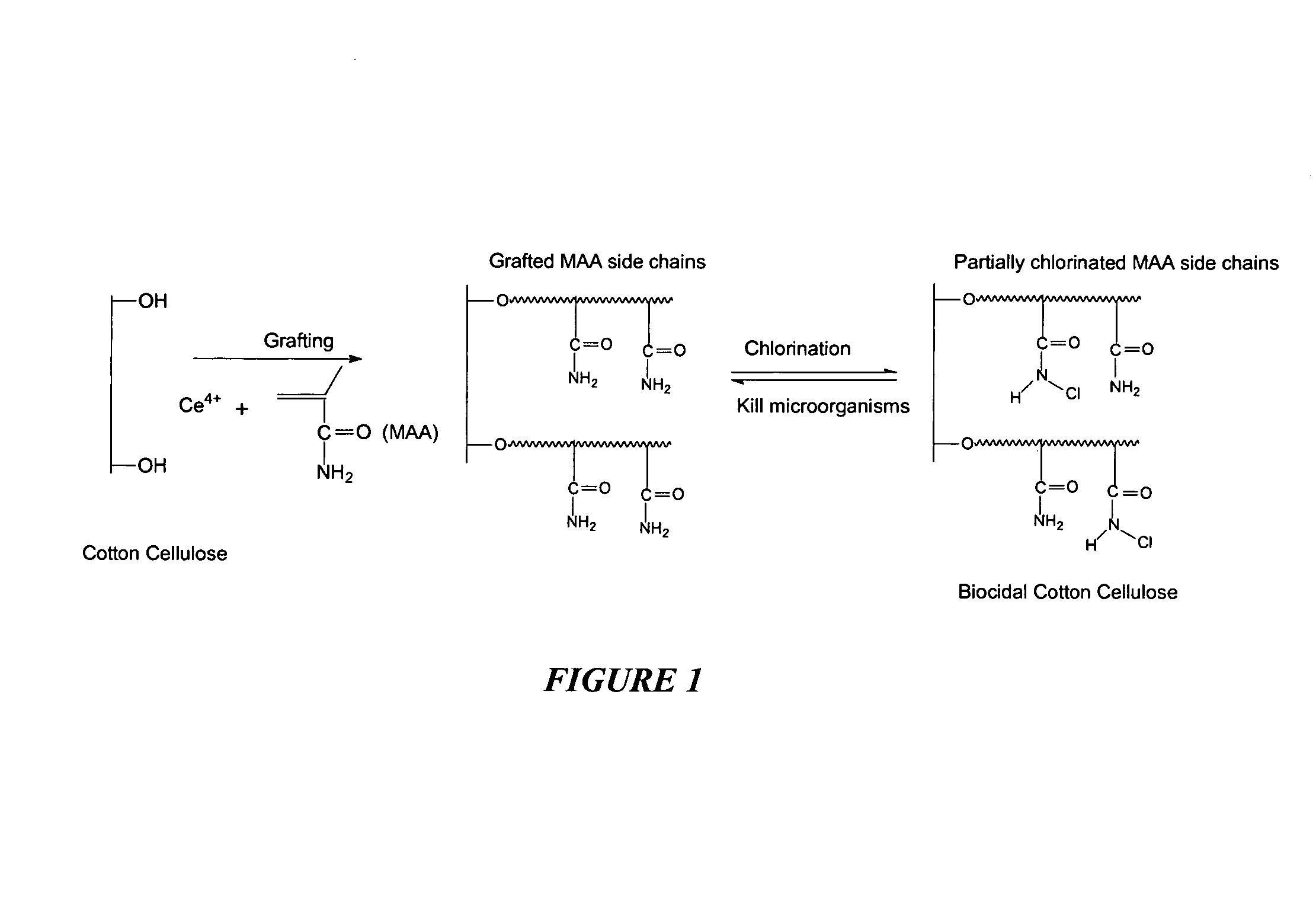 Compositions and methods for making and using acyclic N-halamine-based biocidal polymeric materials and articles