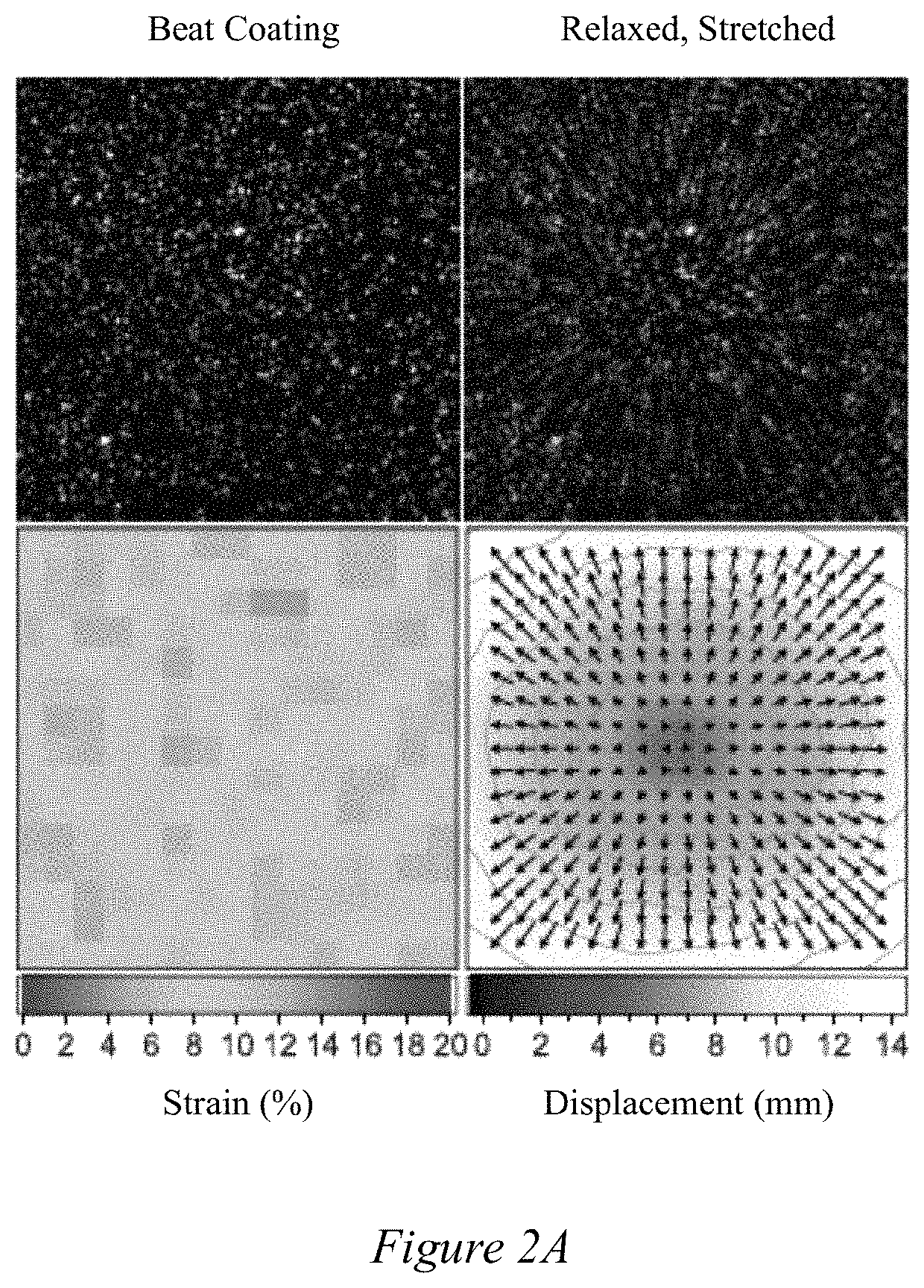 Methods and device for controlled cell stretch and imaging