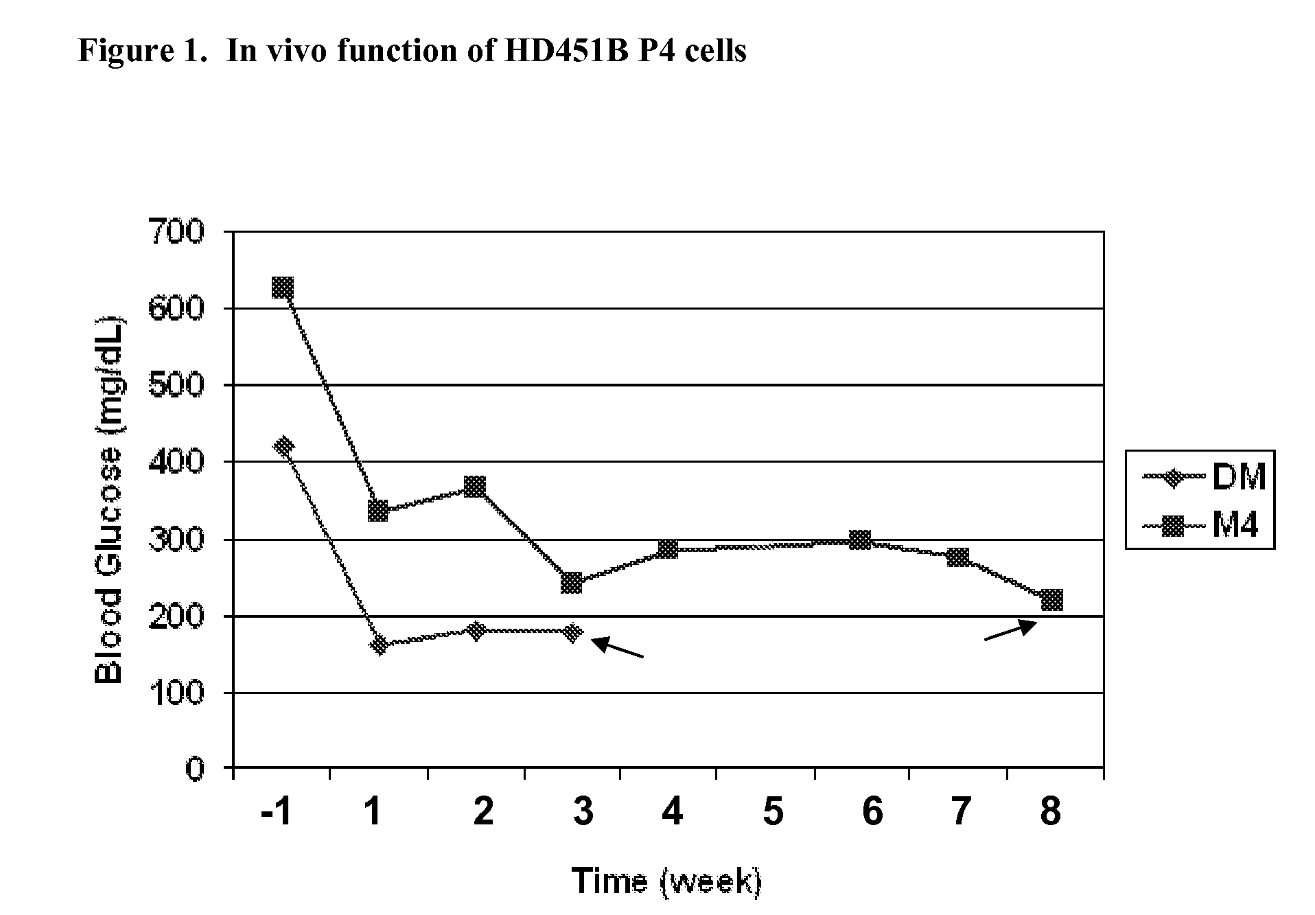Methods of Selecting Pancreatic Endocrine Cells Using Protein Synthesis Inhibitors