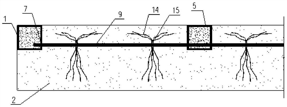 A method for constructing rammed earth walls with square steel pipe columns and steel bars