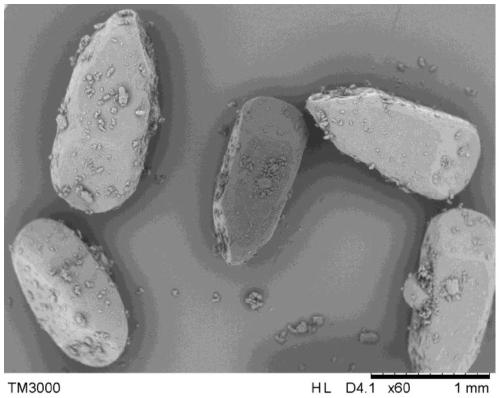 A crystallization method for preparing azithromycin with millimeter-scale large particle size