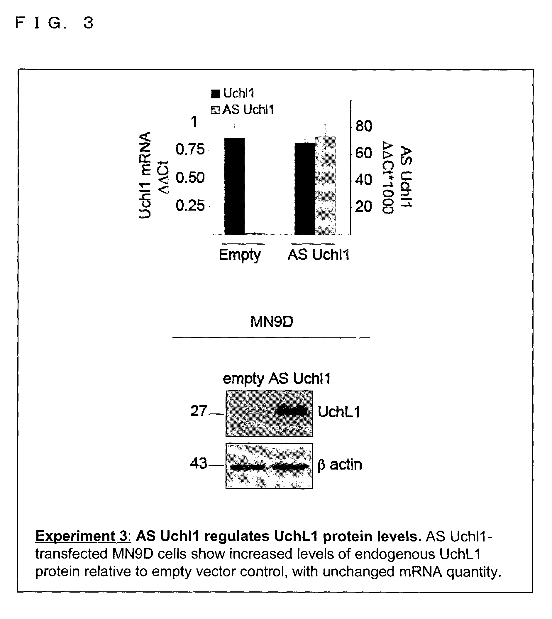 Functional nucleic acid molecule and use thereof
