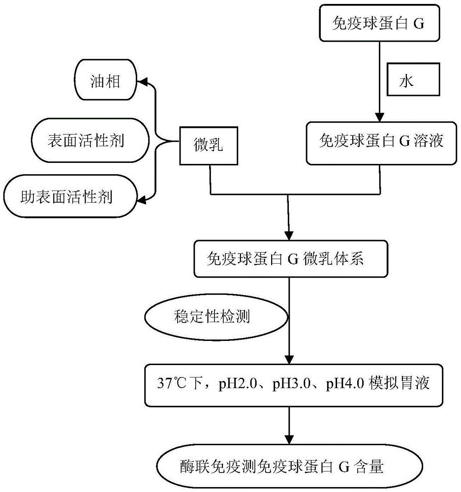 Preparation method of food-grade immune globulin G micro-emulsion with gastric acid resisting protection effect