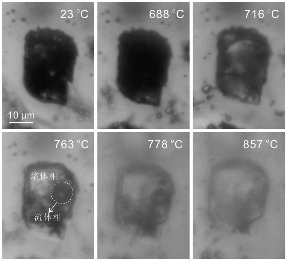 Method for accurately measuring homogeneous temperature of volatile component-rich melt inclusion