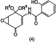 Salicylic acid amide derivative and preparation method thereof