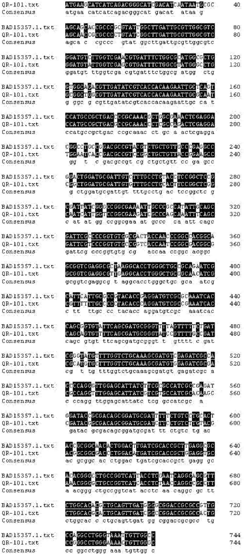ATC racemase and coding gene thereof, and application of recombinant expression protein thereof