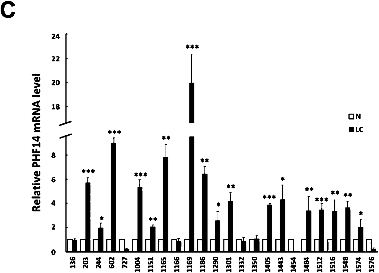 Function and use of PHF14